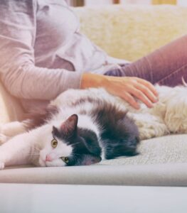 Dog and cat relaxing at home with an in-home pet sitter in Spokane