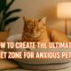 a cat in a quiet zone to help anxiety