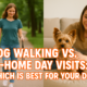 woman walking a dog and woman pet sitting a dog