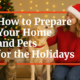 woman with a dog and a cat during the Holidays