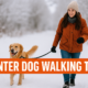 winter dog walking tips Spokane, WA and Post Falls, ID