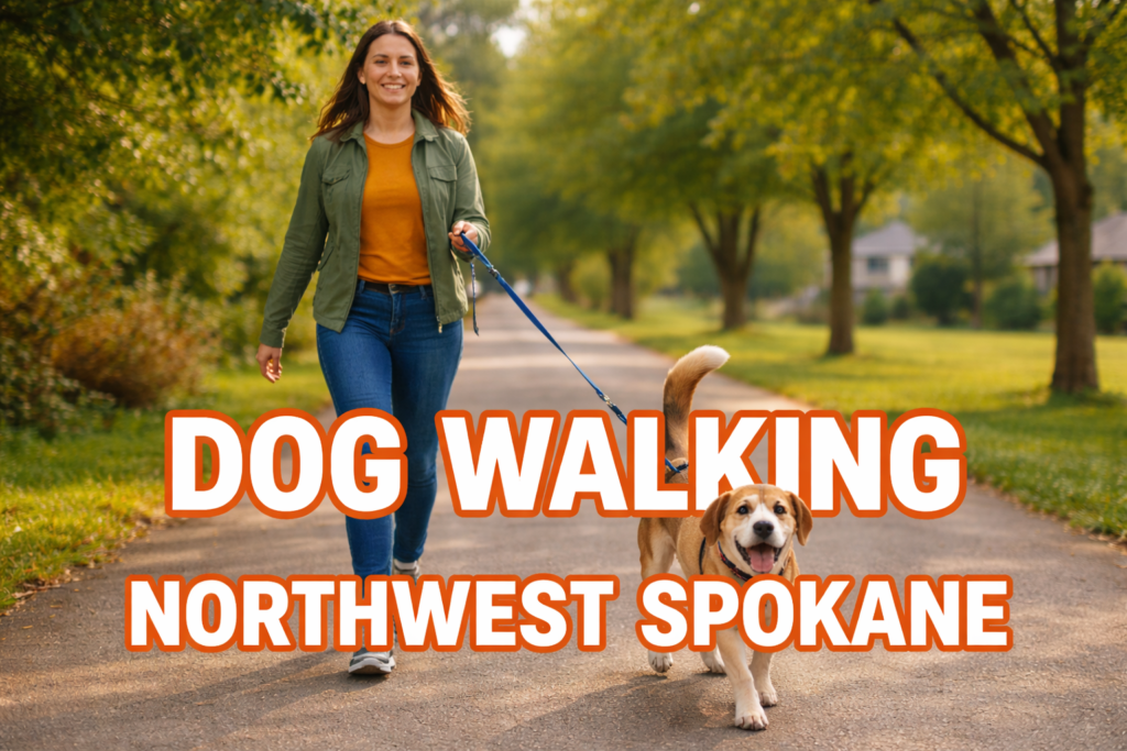 Dog-Walking-Northwest-Spokane A woman walking a dog in Northwest Spokane, WA