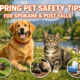 Spring Pet Safety Tips