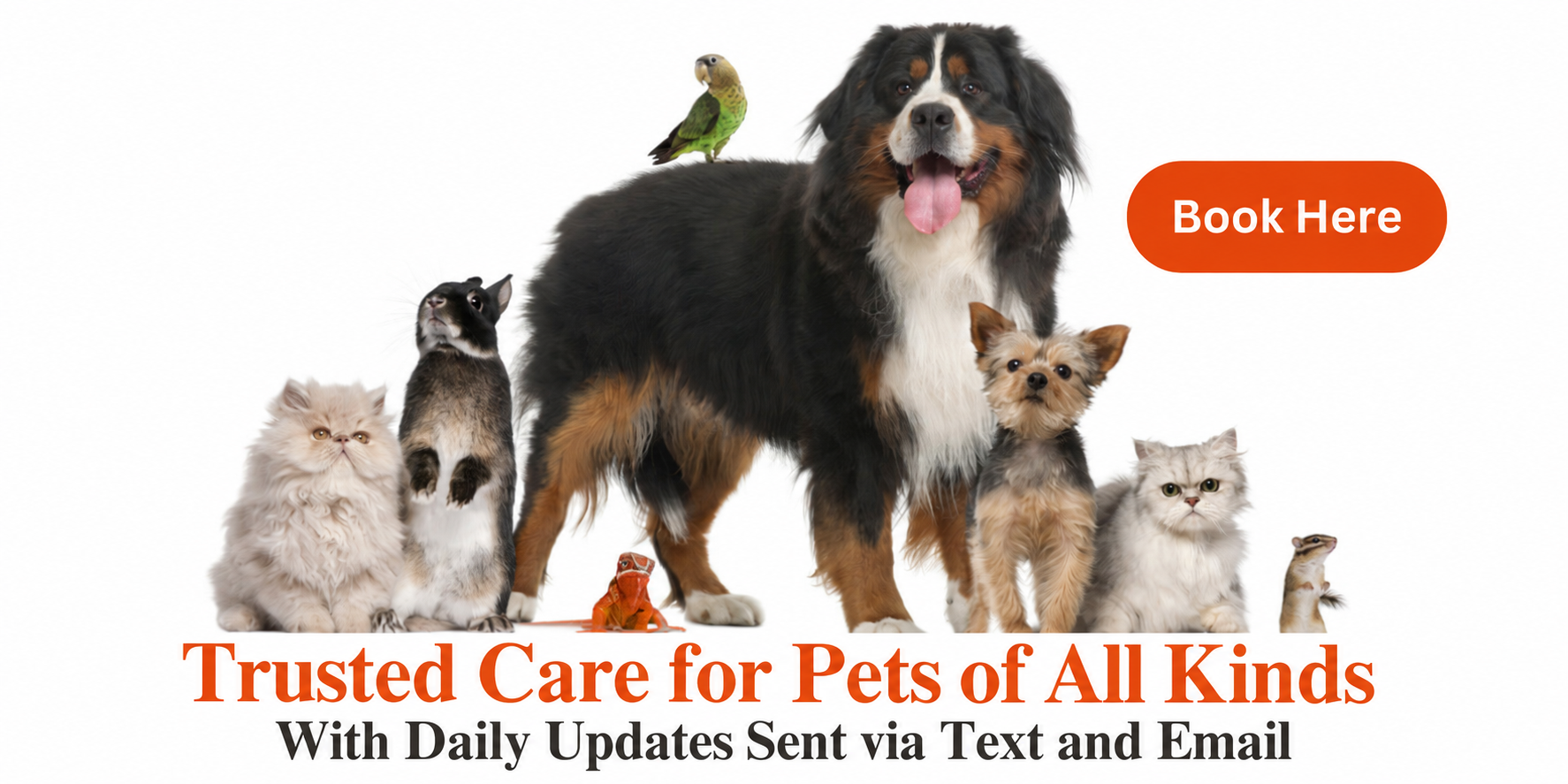 Spokane pet sitting and dog walking for pets of all kinds